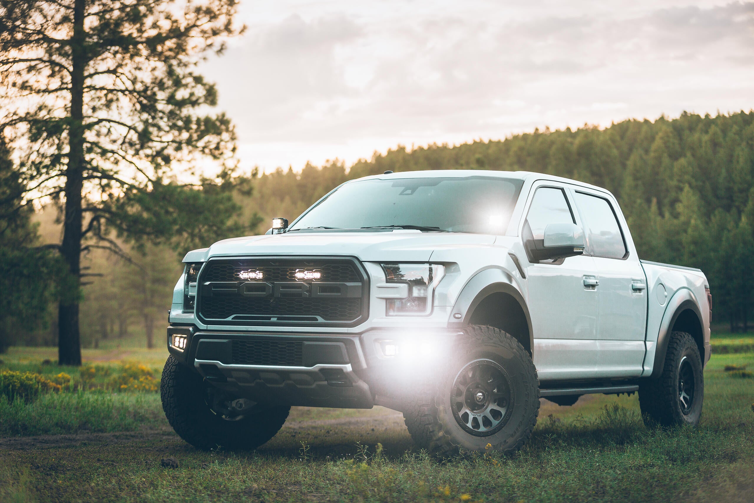 Rigid D-serie+ PRO LED Arbeidslys